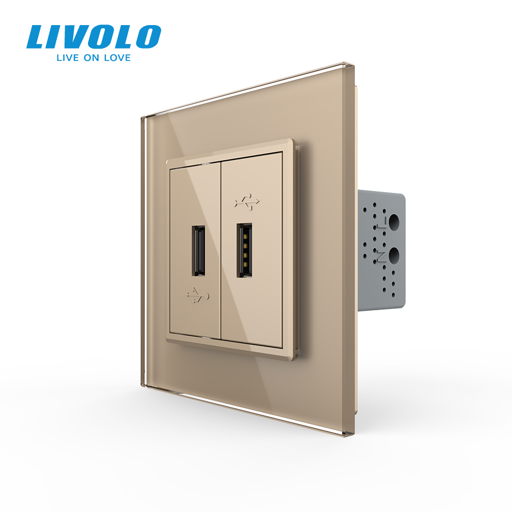 Розетка подвійна USB з блоком живлення LIVOLO золота 2.5D скло