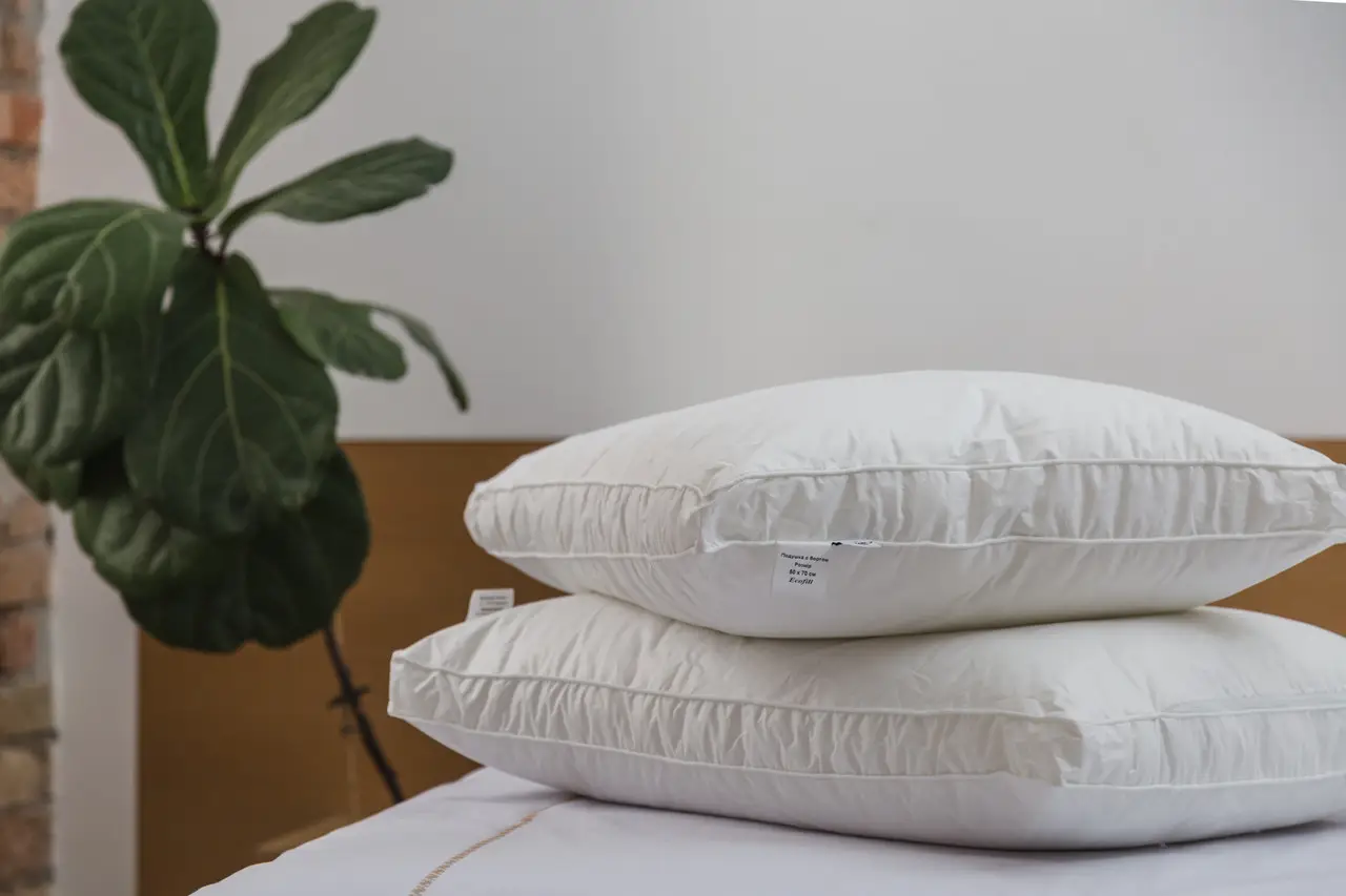Подушка Ecotton 50х70 см Ecofill Premium антиалергенна з кантом біопух біла в чохлі для зберігання White