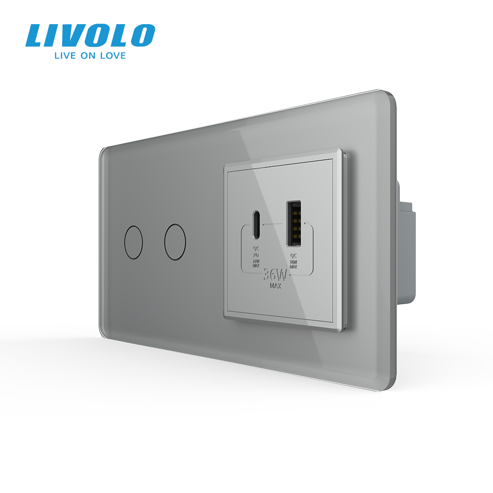 Сенсорний (дотиковий) подвійний вимикач LIVOLO з розеткою USB-A + USB-C 36Вт сірий 2.5D скло