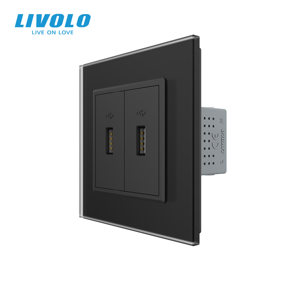 Розетка подвійна USB з блоком живлення LIVOLO чорна матова скло