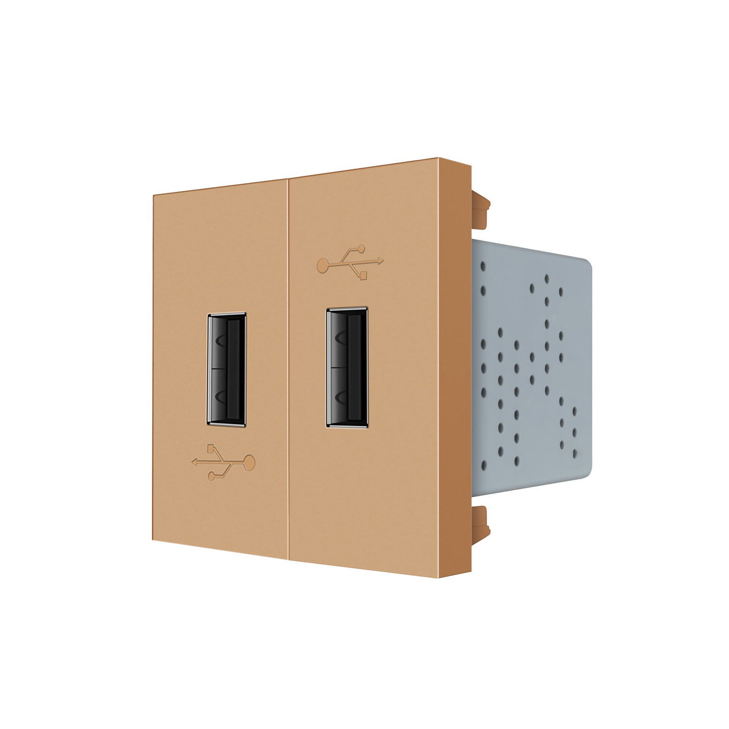 Подвійна розетка USB LIVOLO золота, з блоком живлення 2×USB-A 5V/2.1A, 2×10Вт, модуль (VL-FCUA-2AP)