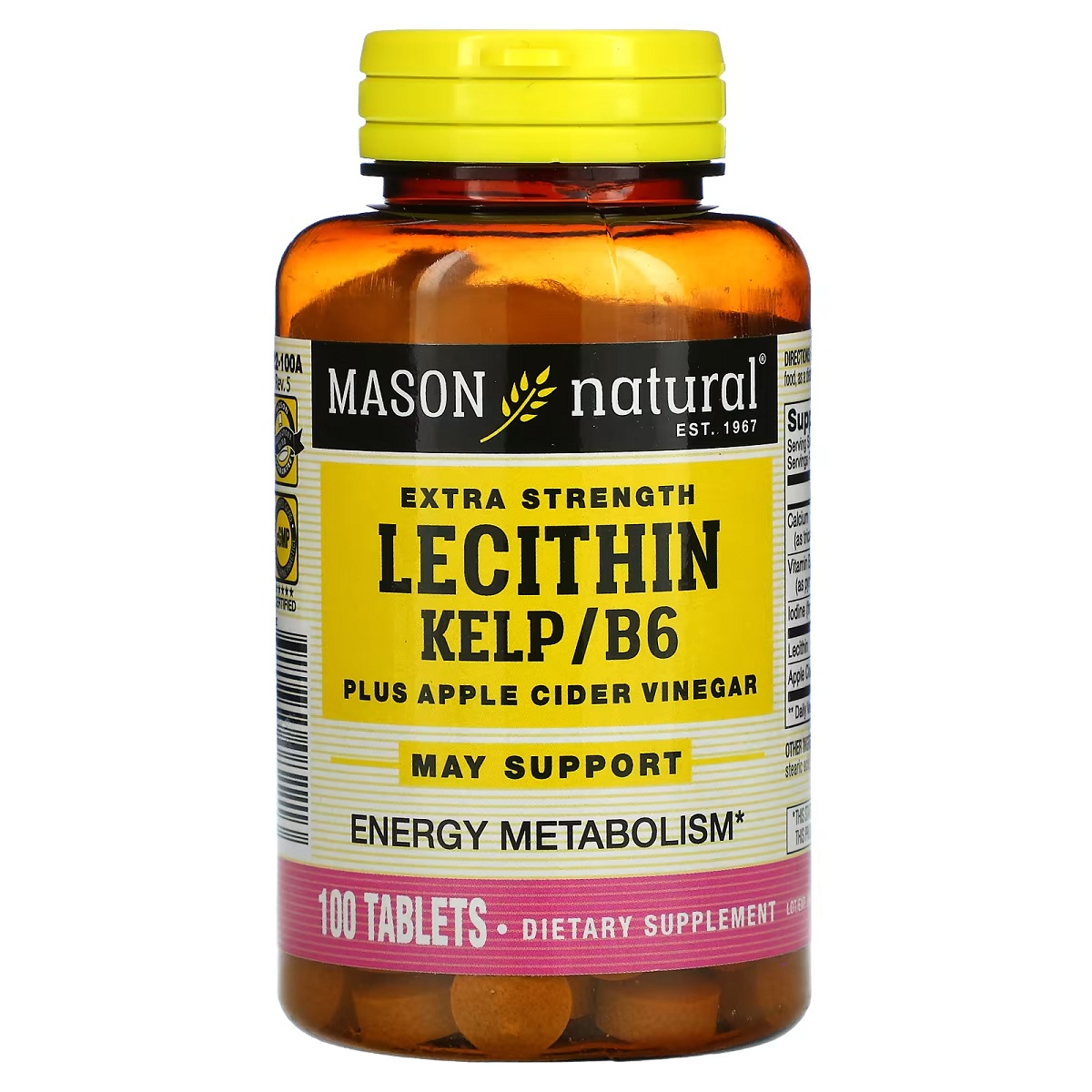 Лецитин з водоростями, В6 та яблучним оцтом, Extra Strength Lecithin Kelp B6 Apple Cider Vinegar, Mason Natural, 100 таблеток
