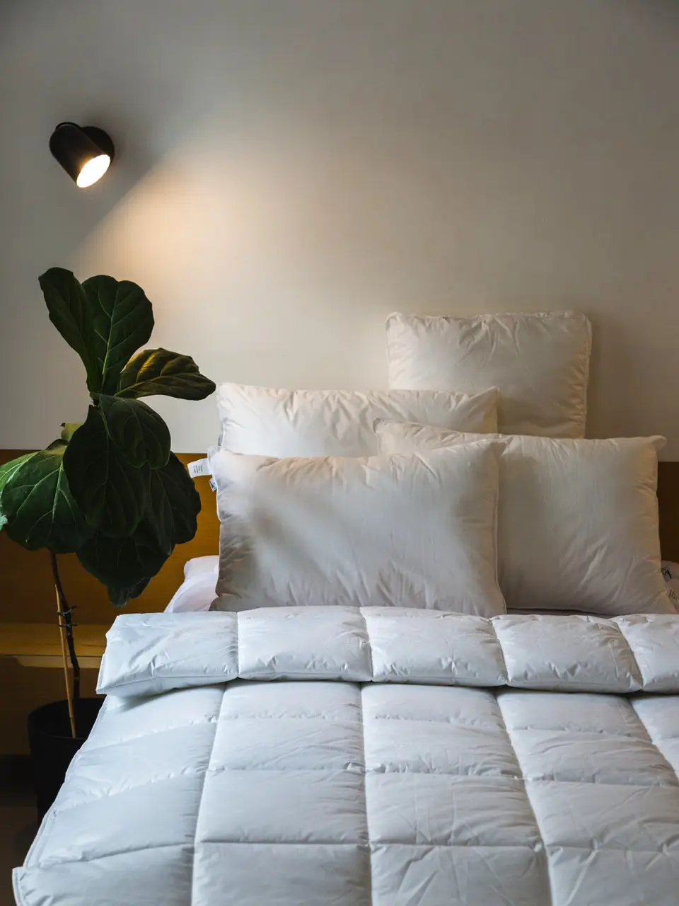 Подушка Ecotton 70х70 см Ecofill Premium антиалергенна з кантом біопух біла в чохлі для зберігання White