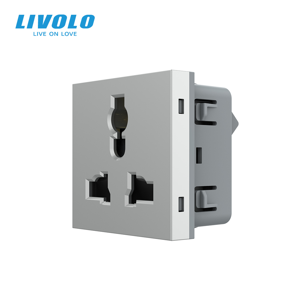 Універсальна розетка LIVOLO 12-в-1, з заземленням і шторками, сіра, 16А 250В, модуль (VL-FCT22 16A-2IP)