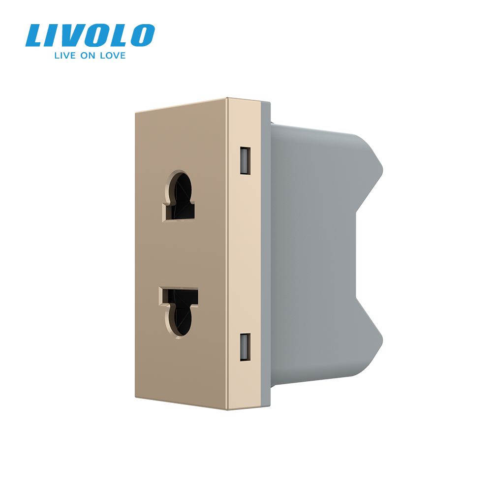 Універсальна розетка LIVOLO 2 в 1, золота, без заземлення, з захисними шторками, модуль 0.5 поста, 16А 250В (VL-FCT25 16A-1AP)