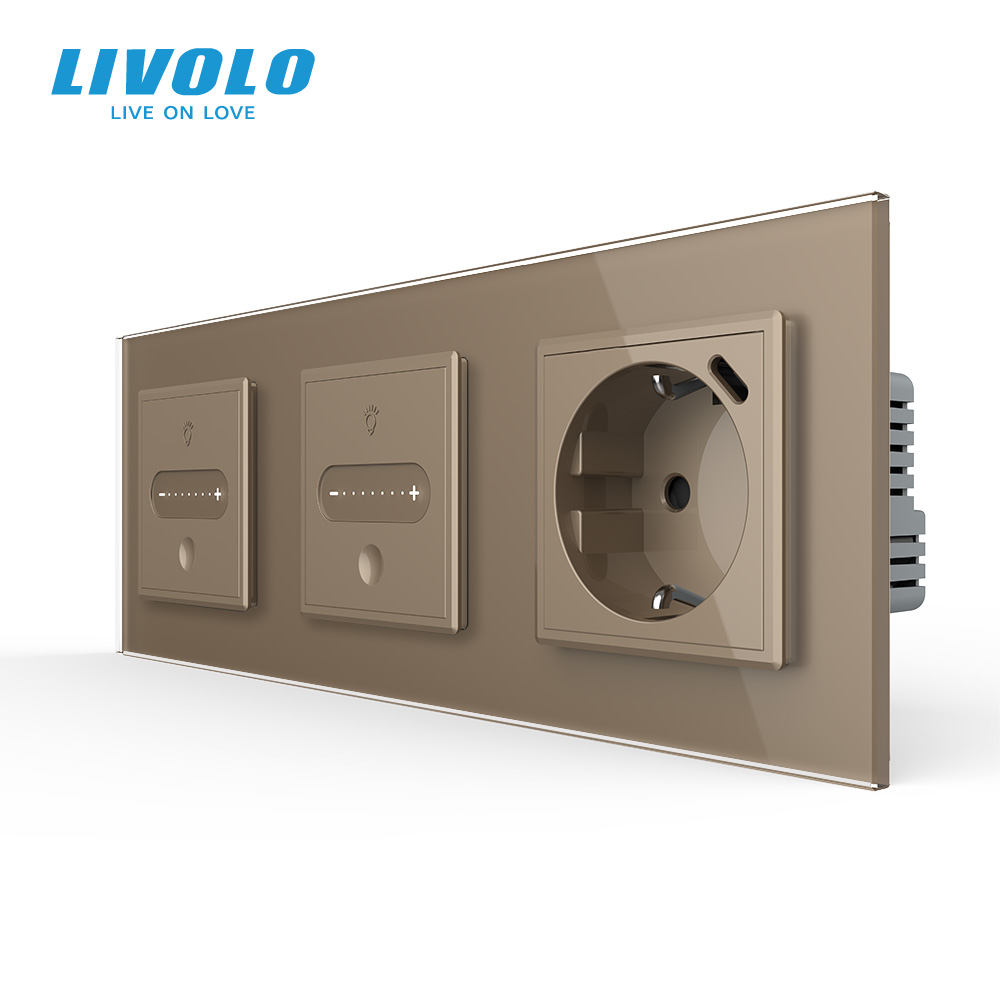 Розумний прохідний сенсорний димер LIVOLO 2 сенсори (1-1) з розеткою з USB Type-C 18Вт, золотий 2.5D скло