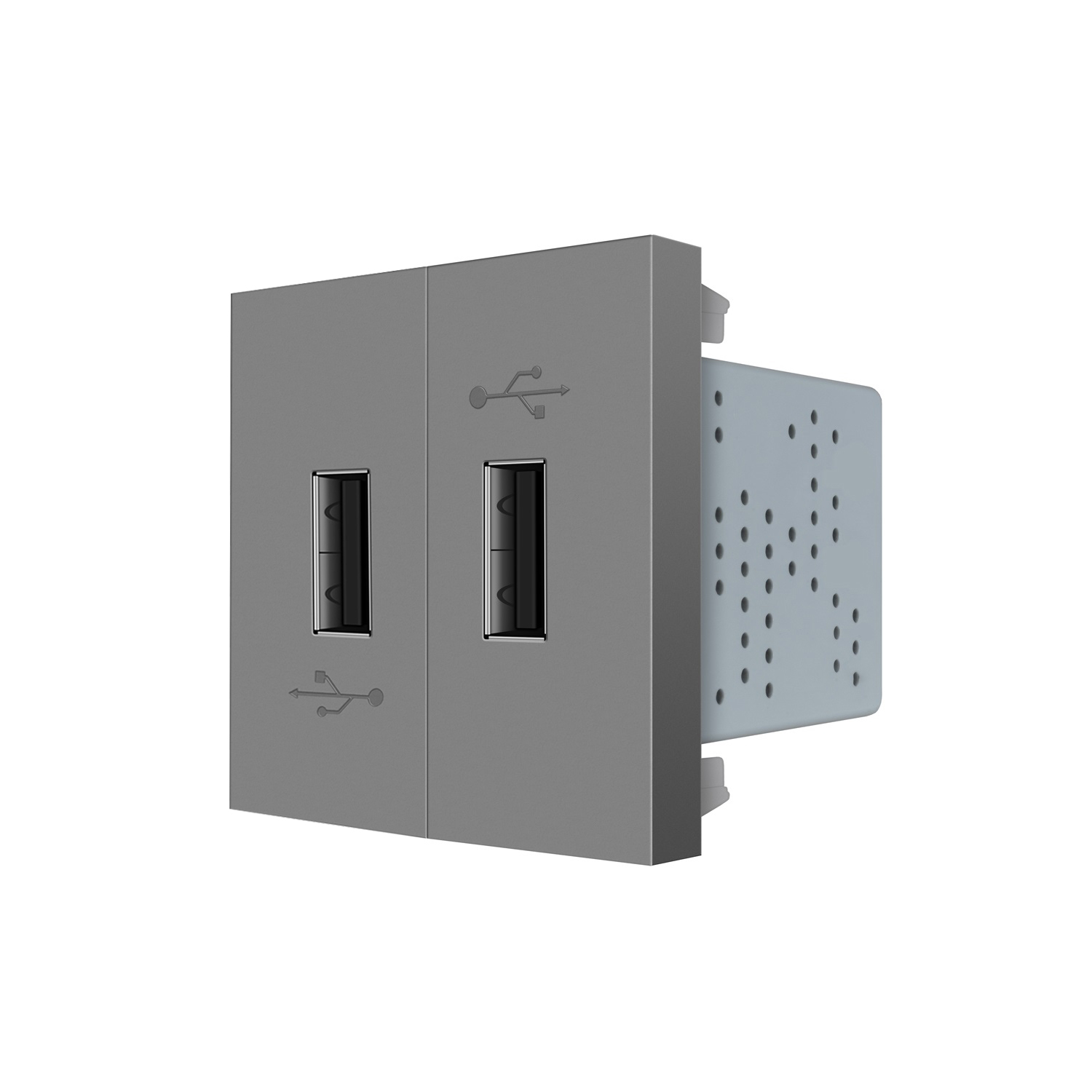 Подвійна розетка USB LIVOLO сіра, з блоком живлення 2×USB-A 5V/2.1A, 2×10Вт, модуль (VL-FCUA-2IP)