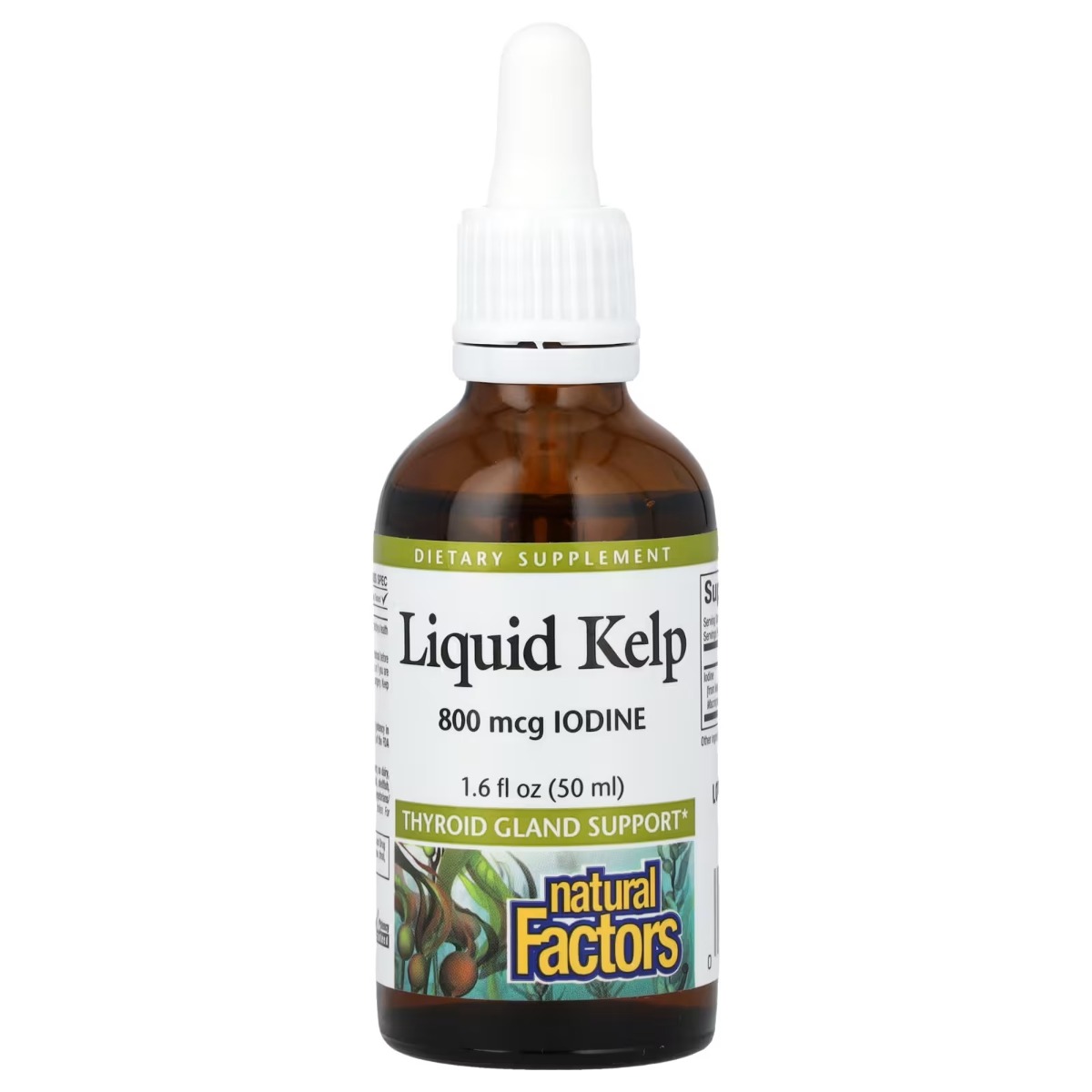 Водорості у краплях, 800 мкг, Liquid Kel, Natural Factors, 50 мл