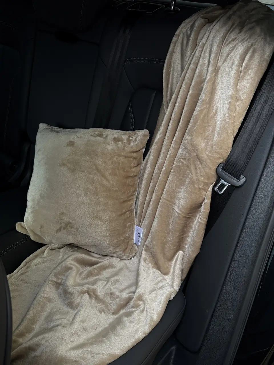 Набір для подорожі Ecotton 2 в 1 Подушка 40х40 плед 110х140 бежевий Beige