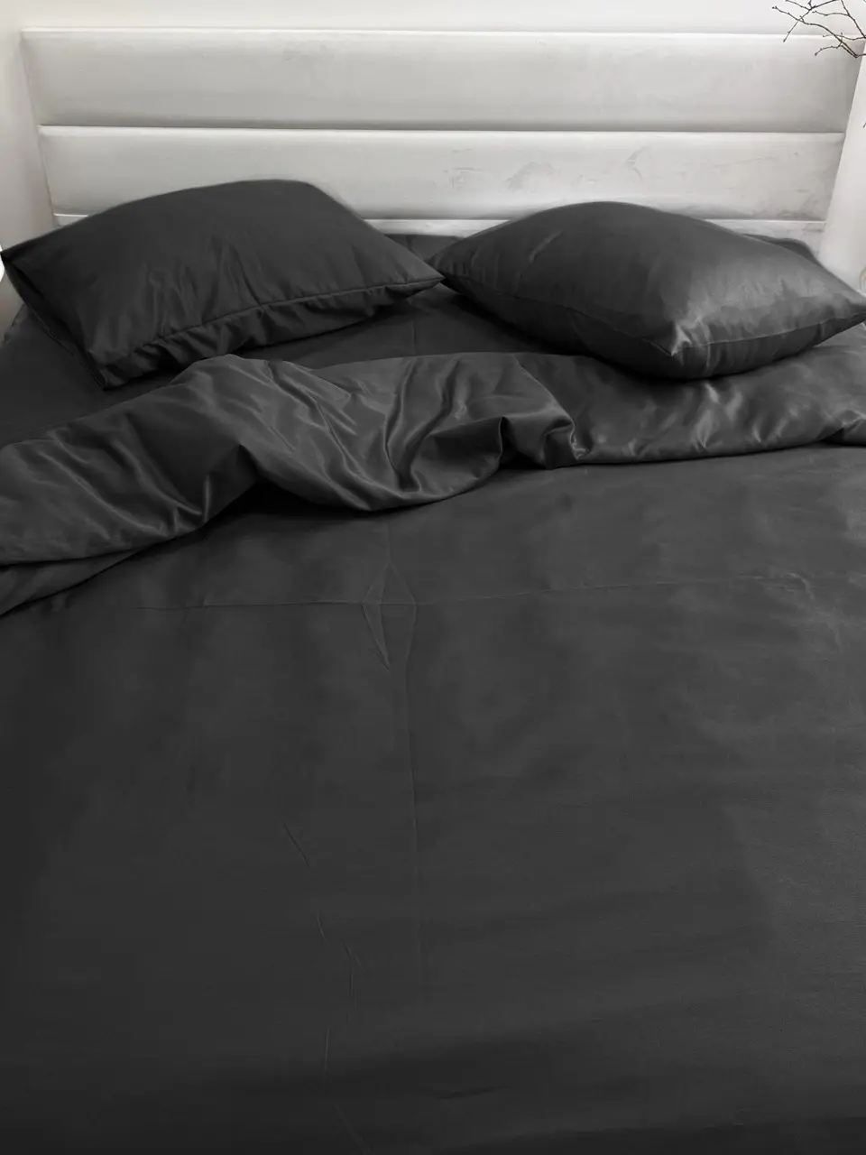 Комплект постільної білизни Ecotton Євро 210х220 см однотонний чорний Black