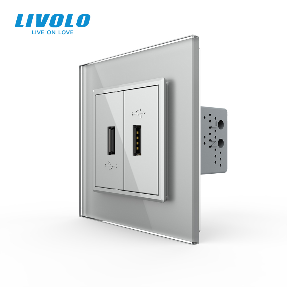 Розетка подвійна USB з блоком живлення LIVOLO сіра 2.5D скло