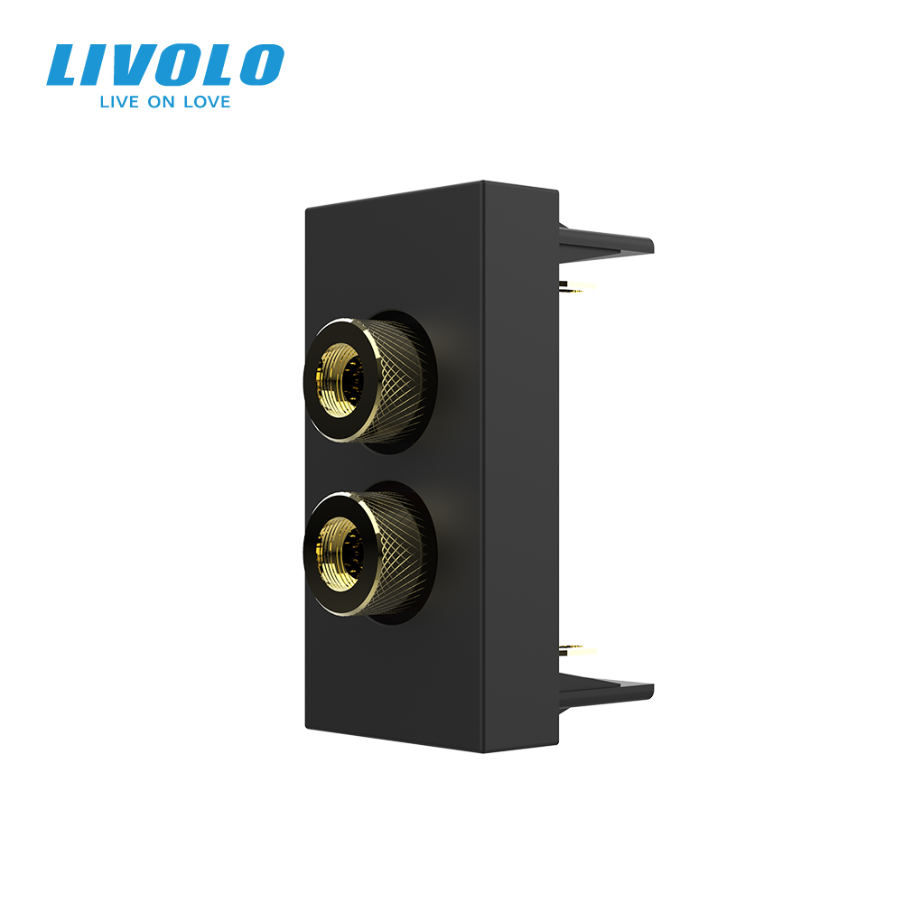 Аудіо розетка LIVOLO Banana Plug, чорна, для колонок / підсилювача, модуль 0.5 поста (VL-FCSD-1BP)