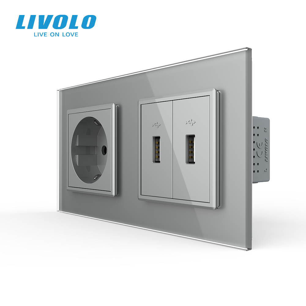 Розетка LIVOLO з заземленням і двома USB розетками, сіра, настінна дизайнерська, скляна рамка