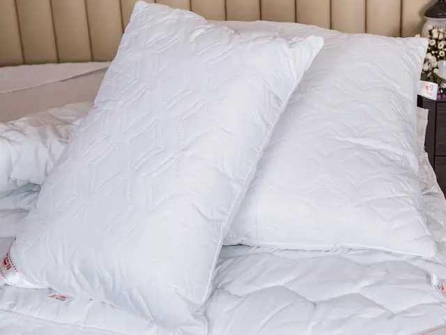 Подушка Ecotton 40х60 см антиалергенна із мікрофібри біла Optic White